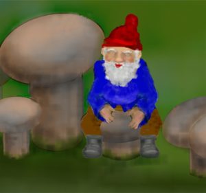 Gnome on a Shroom